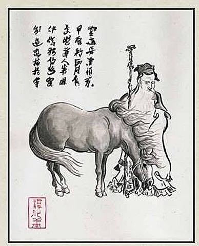 Acupuntura en caballos