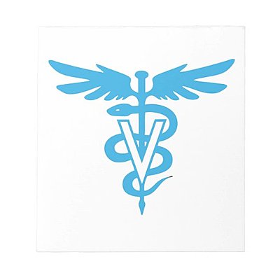 Timeline: Historia de la Medicina Veterinaria