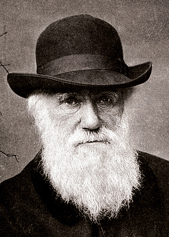 Charles Darwin puts forward the theory of evolution in On the Origin of Species, the result of 20 years' research