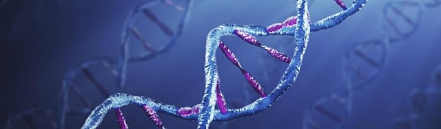 Desarrollo de la genética.