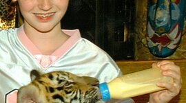 Timeline: Timeline on Regan!!!!!