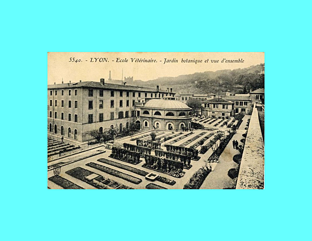 Primer escuela de Medicina Veterinaria