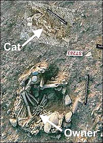 Date of Oldest Known Domesticated Cat, Cyprus