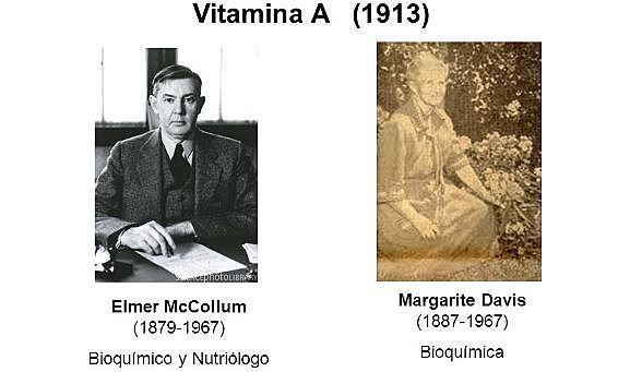 Elmer V McCollum y Marguerite Davis descubrieron las primeras vitaminas, la vitamina liposoluble A y la vitamina hidrosoluble B
