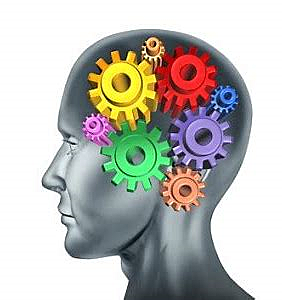 Application of Cognitive Psychology