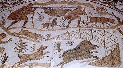 Inicios de la domesticación animal