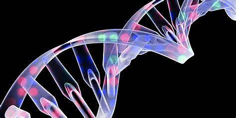 Desarrollo de la genética.