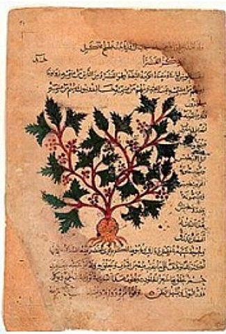 Escritos antiguos de Veterinaria