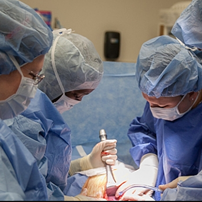 Timeline: Evolution Of Obstetrics