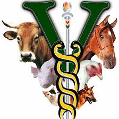 Timeline: Medicina Veterinaria