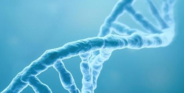 Descubrimiento del ADN