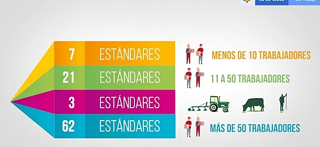 Estándares Mínimos del SG-SST