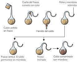 Louis Pasteur combate la generacion espontanea