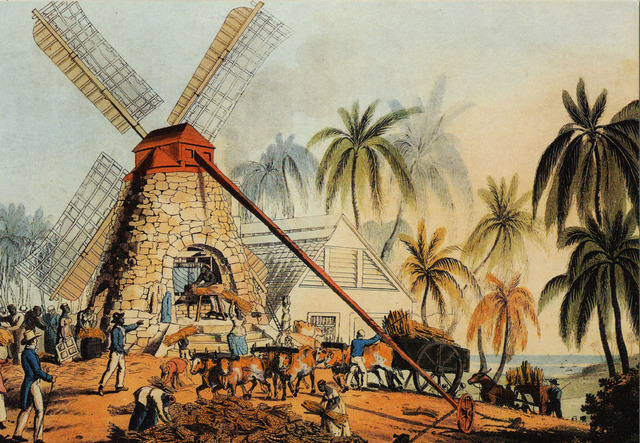 British and French Colonization