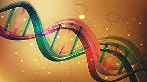 Aexander Rich, Carl Woese, Leslie Orgel y Francis Crick