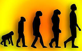 Darwin se refirio a 3 aspectos de la evolucion