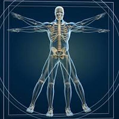 Timeline: Estado del arte de la antropología del deporte