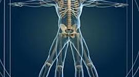 Timeline: Estado del arte de la antropología del deporte