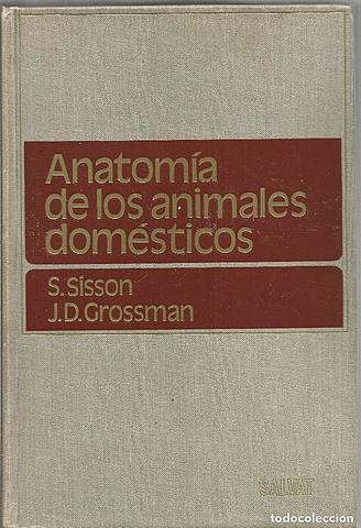 Anatomia de los Animales Domesticos