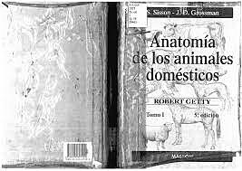 Anatomía de los animales domésticos