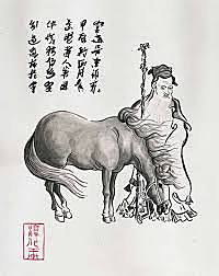 Veterinaria en China