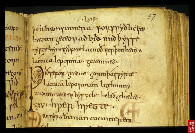 Old English or Anglo-Saxon