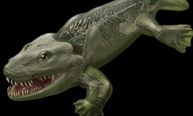 Esimesed kahepaiksed