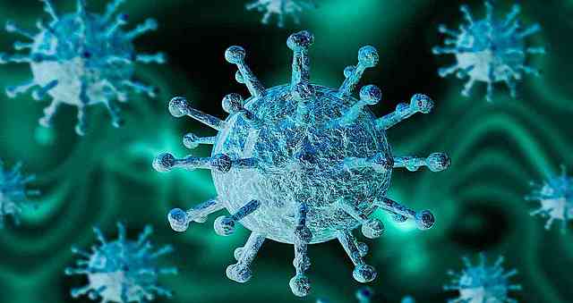 Pandèmia mundial (Covid-19).