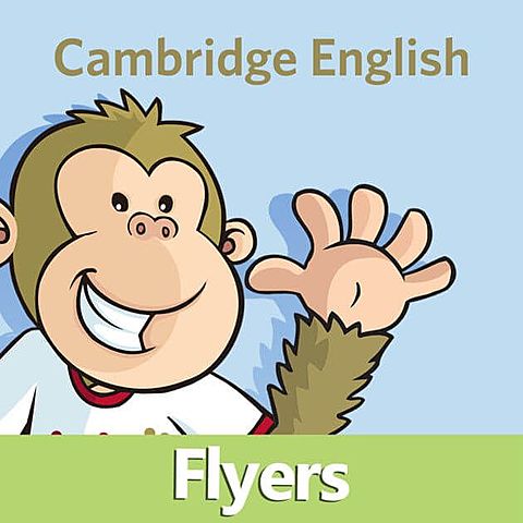 Exam Cambridge Flyers