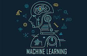 El machine learning aprende a identificar gatos.