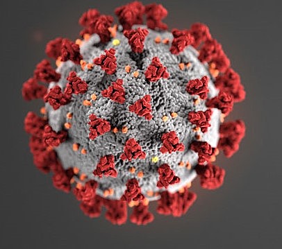 Coronavirus (confinement)