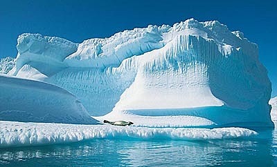 Acontecimiento Internacional