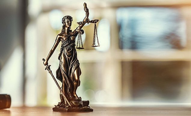 Noción de la La Delimitación del Concepto de Acción