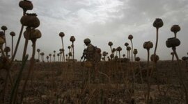 Timeline: CRONOLOGIE: Razboiul din Afganistan