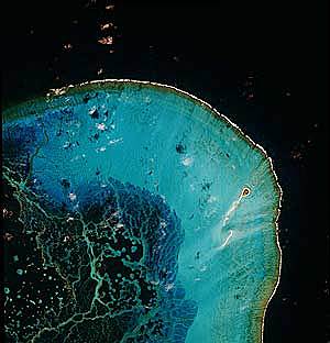 3 años: internacional