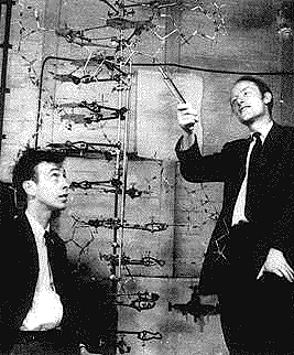 James D. Watson y Francis Crick