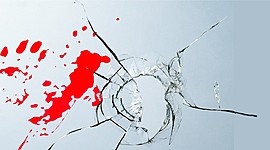 Timeline: CONCEPTO PELIGROSIDAD