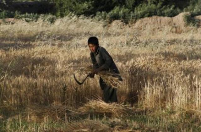 Plan de reconstructie