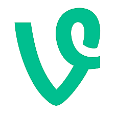 Vine