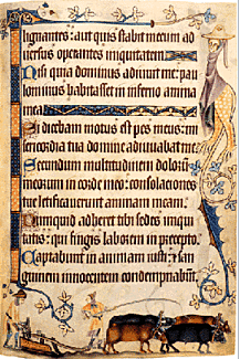 A narrator who calls himself Will, and whose name may be Langland, begins the epic poem of Piers Plowman