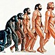 Evolucion de hombre