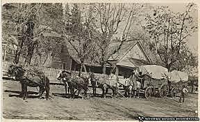 Foresthill A Center for Trade