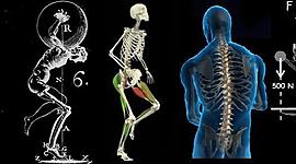 Timeline: Estado Del Arte De La Antropología Del Deporte