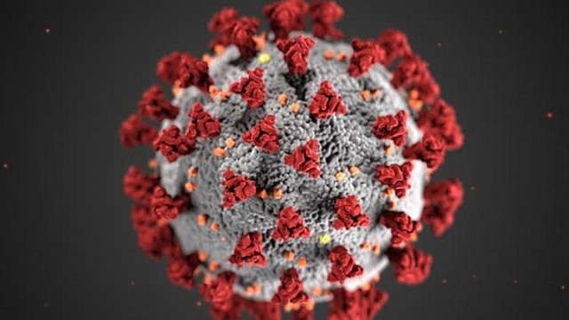 Nuevos casos Covid-19