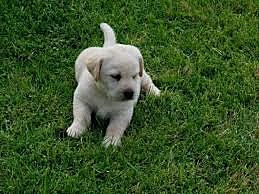 Acontecimiento Personal