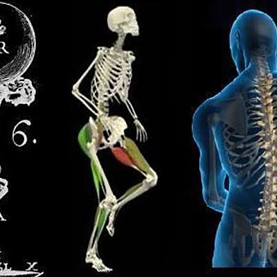 Timeline: Estado del arte de la antropología del deporte