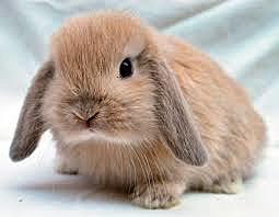 Acontecimiento Personal