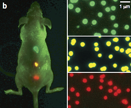 Quantum dots in a glass matrix