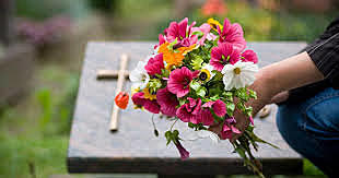 mort de la meva besàvia