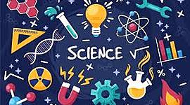Timeline: IV PERIDO BIOLOGIA 601